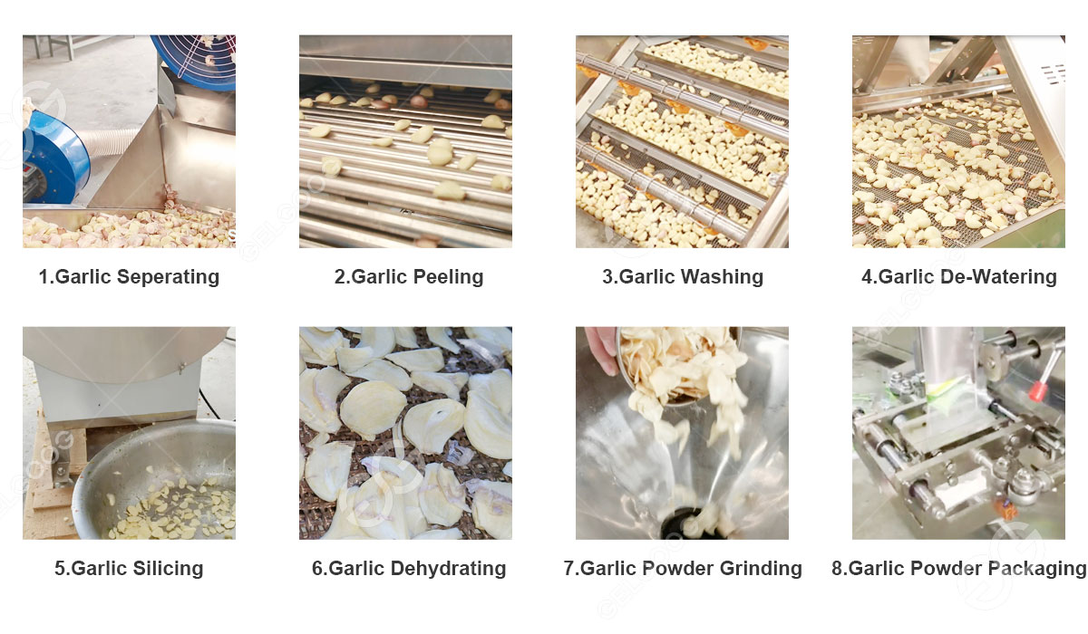 garlic-powder-processing-line1.jpg