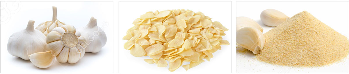 garlic-flakes-drying-line.jpg