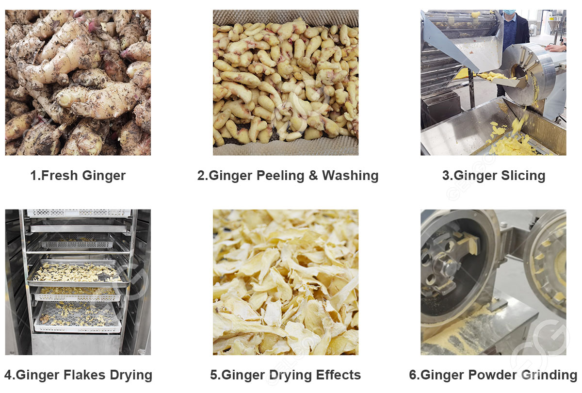 ginger-powder-production-line1.jpg