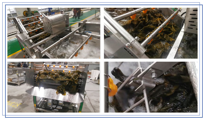 seaweed-washing-machine-details.jpg