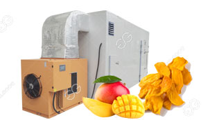 Mango Drying Dehydrating Machine South Africa