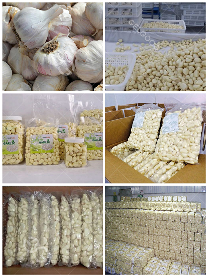 peeled-garlic-packing-form.jpg