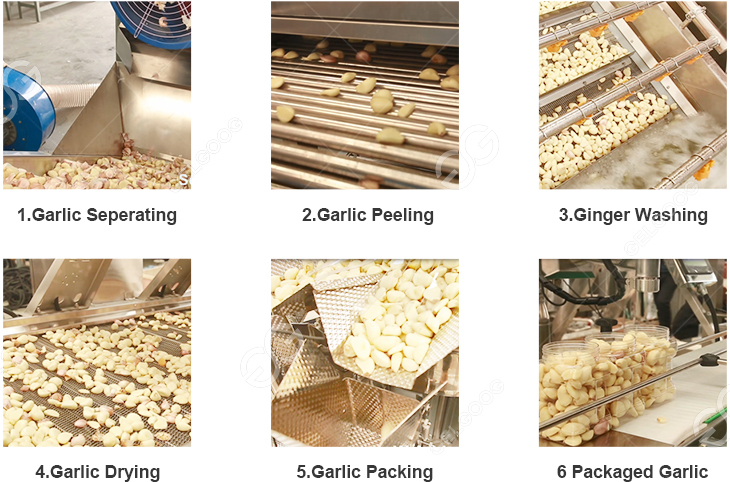 garlic-processing-plant1.jpg