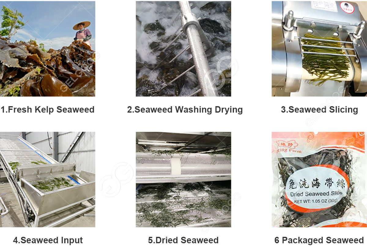 seaweed-processing-plant.jpg