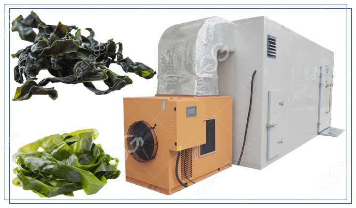 seaweed-kelp-drying-machine.jpg