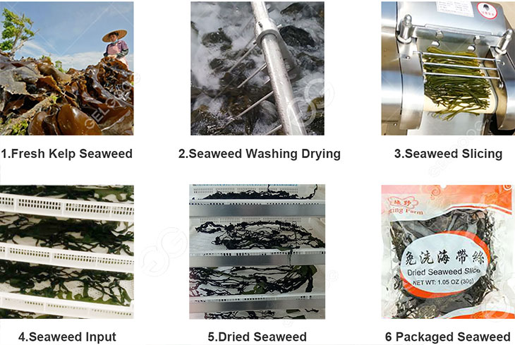 seaweed-drying-process.jpg