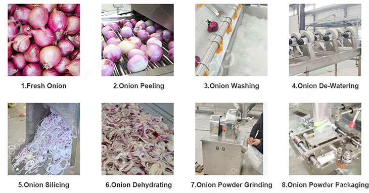 onion-powder-making-process.jpg