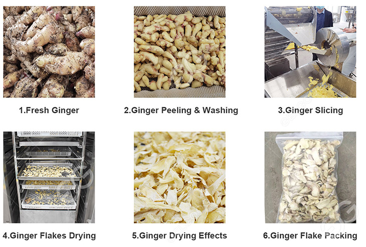 ginger-flake-processing-technology.jpg