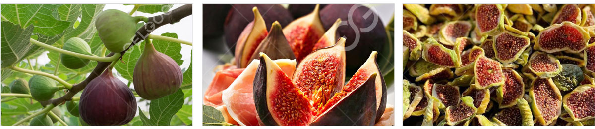 dried-fig-fruits.jpg