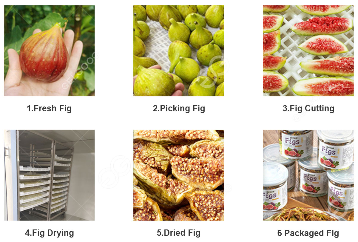 dry-fig-fruit-making-machine.jpg