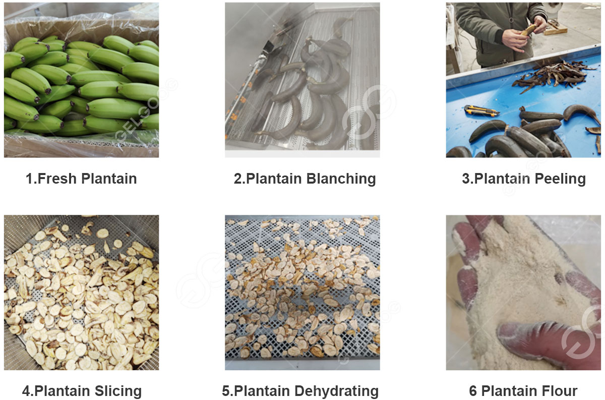 plantain-flour-processing-machine.jpg