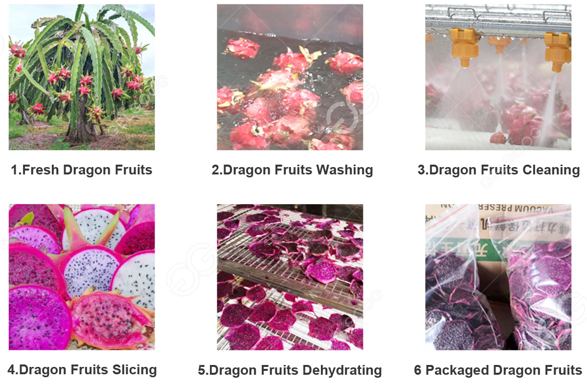 dragon-fruit-processing-plant.jpg