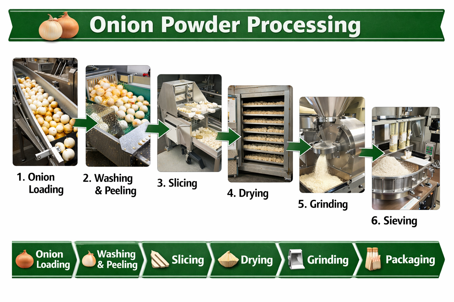 The Lucrative World of Onion Powder Manufacturing Business