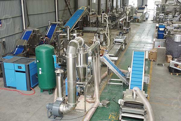 Garlic-powder-production-cost-analysis.jpg