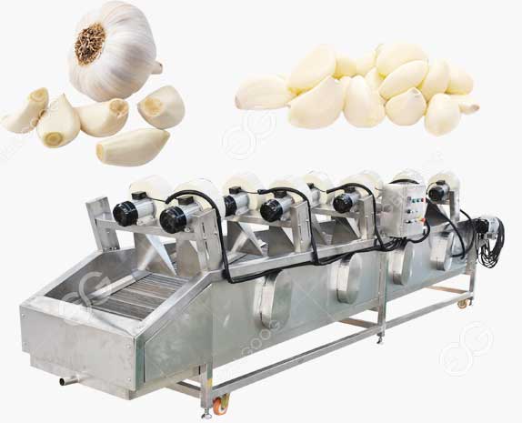 Garlic Air Drying Machine For Garlic Surface Water Removing