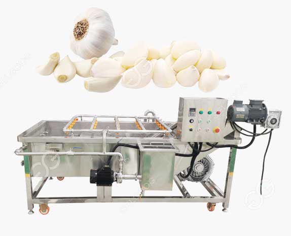 Peeled Garlic Clove Washing Machine 