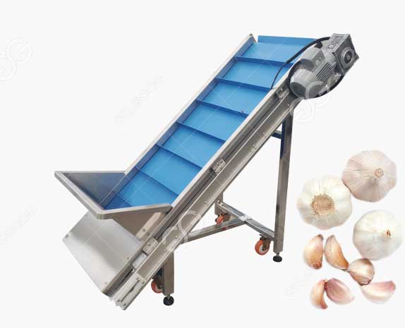 Garlic Elevating Machine For Sale Garlic Processing 