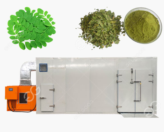 Moringa Leaves Drying Dehydrating Machine