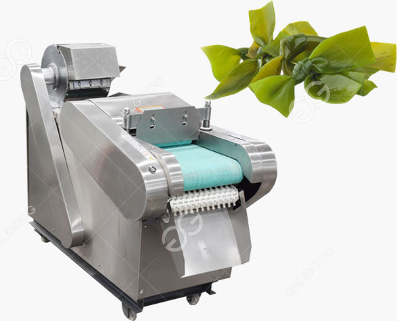 Automatic Seaweed Kelp Cutting Machine