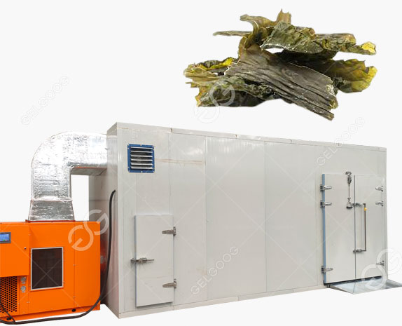 Seaweed Strips Drying Machine For Sale