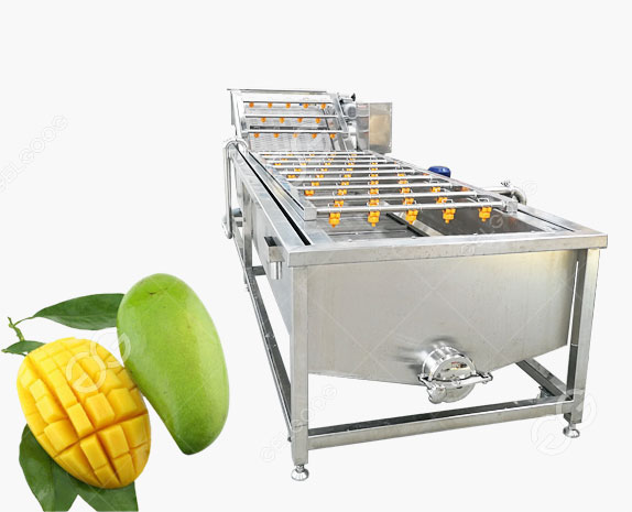 Automatic Fruit and Vegetable Sanitizing Machine