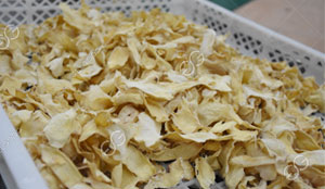 Dried Ginger Flakes Drying Machine Price