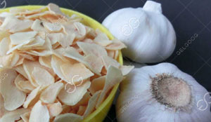Dried Garlic Flakes Processing in Malaysia