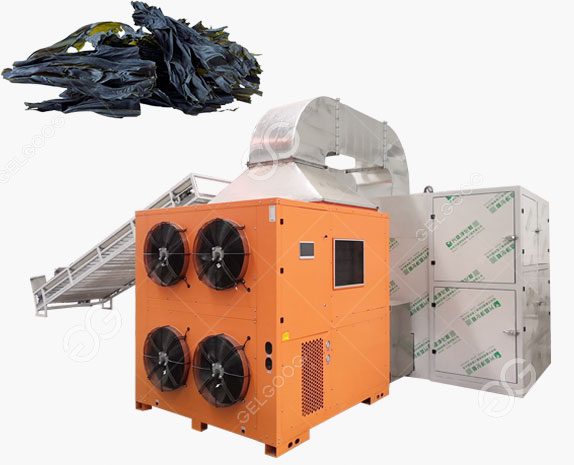 Continuous Seaweed Conveyor Mesh Belt Dryer Machine For Sale