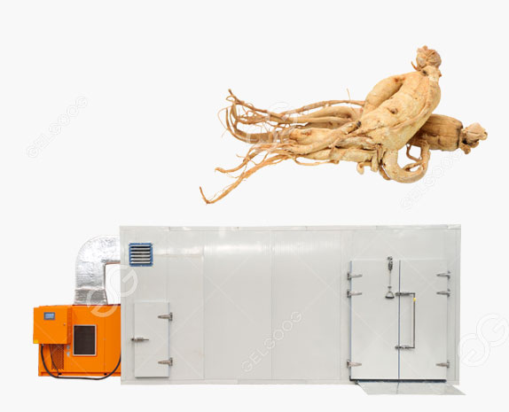 Fresh Ginseng Medicinal Drying Machine For Herbs Dehydration