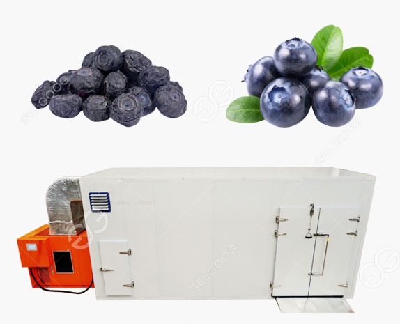 Automatic Blueberry Heat Pump Dryer Blueberry Fruits Drying Machine