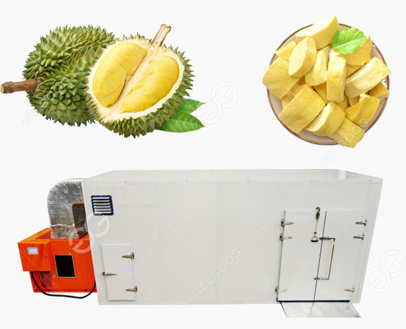 Energy Saving Durian Meat Drying Machine For Durian Snack