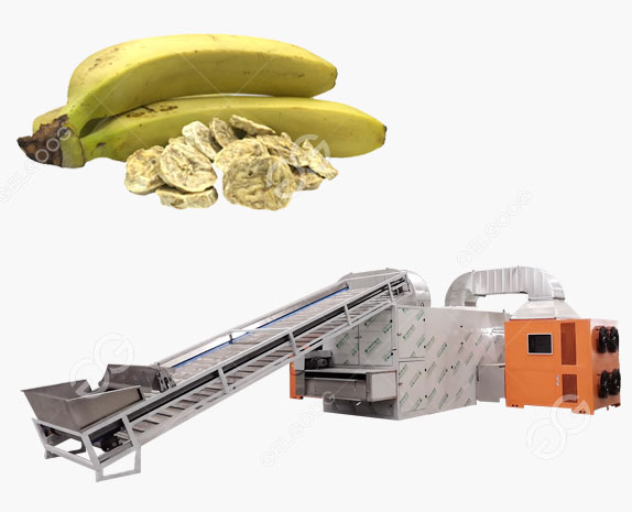 Continous Plantain / Banana Chips Mesh Belt Dryer Machine