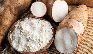 Analysis on the Cassava Starch Industry in Nigeria Development Status 
