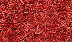 Red Chilli Drying Process