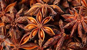 Star Anise Drying Process