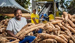 How to Make Cassava Flour in Nigeria