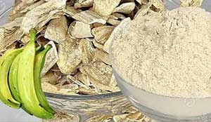 How To Start Plantain Flour Business