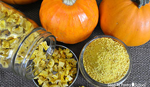 Pumpkin Drying Process