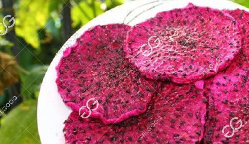 Dragon Fruit Drying Process