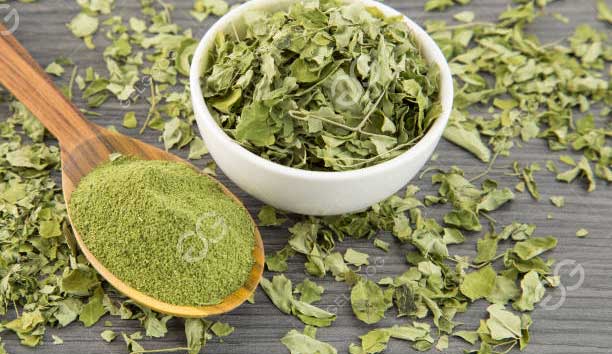 Moringa Powder Making Machine Price