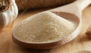 Garlic Powder Manufacturing Process
