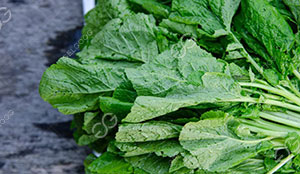 Mustard Drying Process