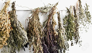 How To Dry Herbs?