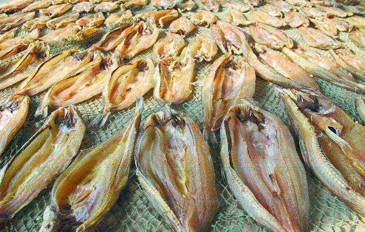 What Fish Drying Technology Includes