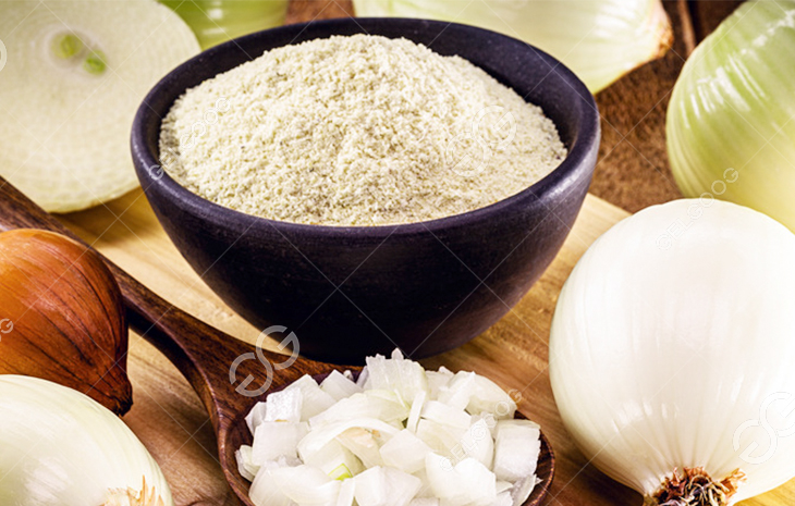 Onion Powder Business Plan: Tips For Starting And Succeeding