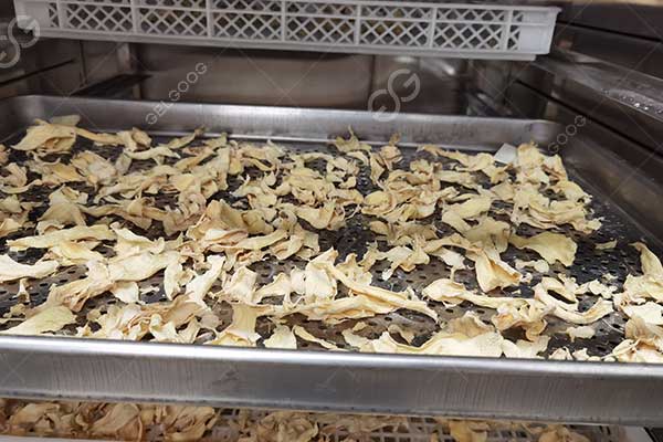 How Long Does It Take To Dehydrate Ginger In An Industrial Dehydrator?