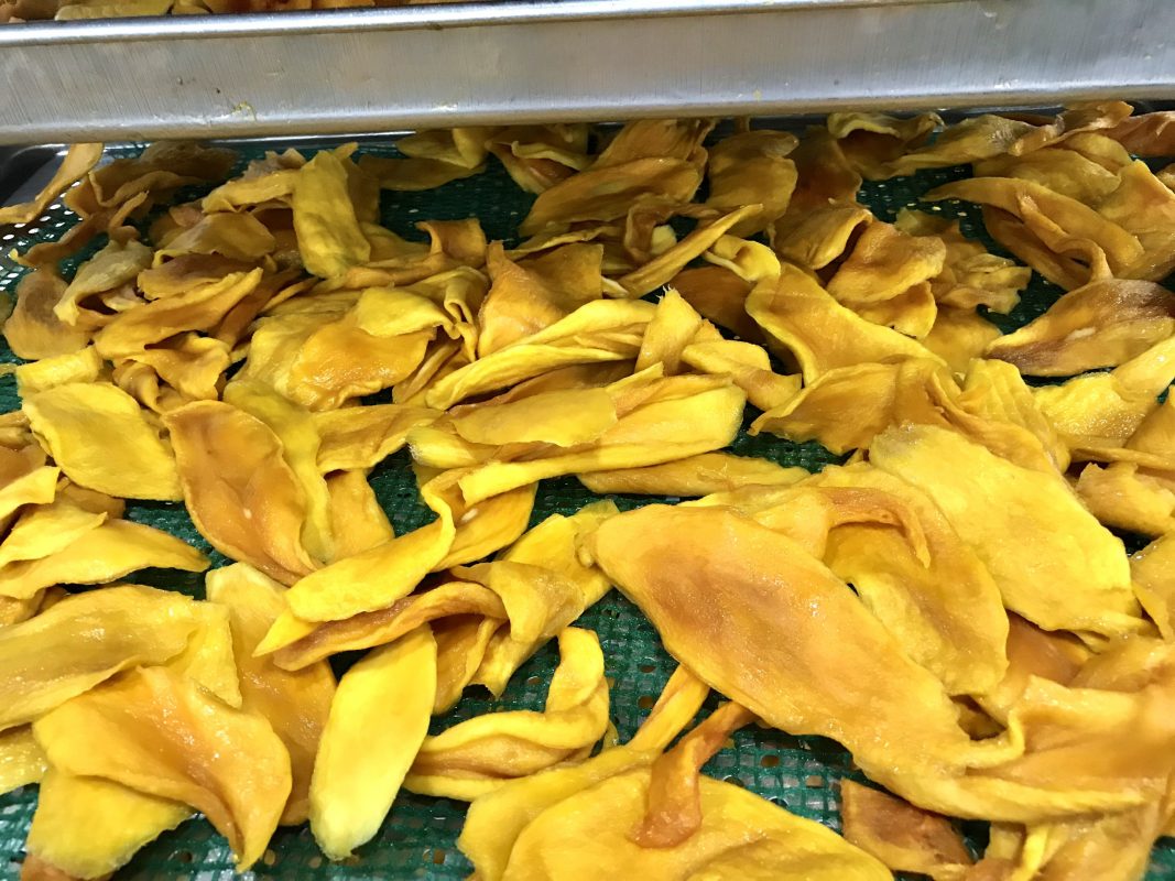 How Do Factories Make Dried Mango?