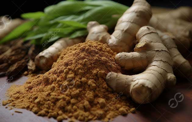 What Is The Industrial Processing Of Ginger In Factory