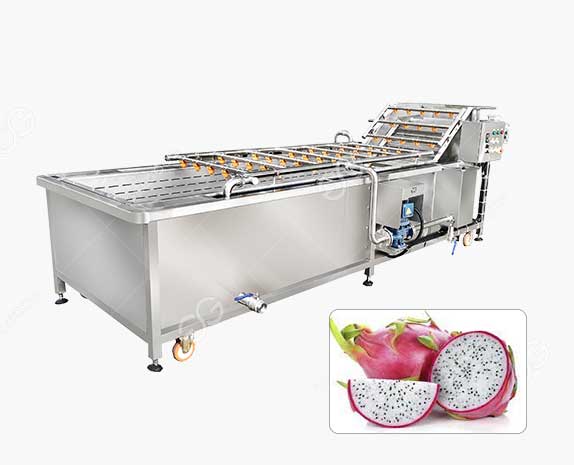 Industrial Dragon Fruit Washing Machine Manufacturer
