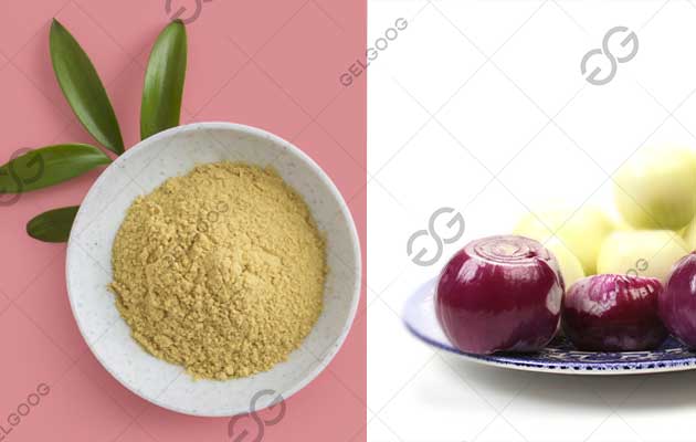 What is the Profit Margin of Onion Powder Making Business?